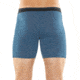 Icebreaker Anatomica Long Boxers - Mens, Thunder/Black/Stripe, M, 103055409M
