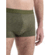 Icebreaker Cool-Lite Anatomica Trunks - Mens, Loden, Small, IB105223069S