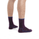 Icebreaker Cool-Lite Hike 3Q Crew Socks - Men's, Nightshade/Lazurite, Small, IB104661922S