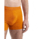 Icebreaker Cool-Lite Merino Anatomica Boxers - Men's, Earth, Medium, IB105246865M