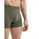 Icebreaker Cool-Lite Merino Anatomica Boxers - Mens, Loden, Small, IB105246069S