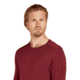 Icebreaker Merino 200 Oasis Long Sleeve Crewe Thermal Top - Mens