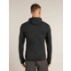 Icebreaker Merino Blend 200 RealFleece Descender Long Sleeve Zip Hoodie - Mens