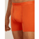 Icebreaker Merino 150 Anatomica Boxers wFly - Mens, Fervid, Extra Large, IB1030300GTXL