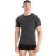 Icebreaker Merino 150 Anatomica SS Crewe - Men's
