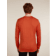 Icebreaker Merino 200 Oasis Long Sleeve Crew Thermal Top - Mens, Agate, Large, IB1043650GSL
