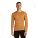 Icebreaker Merino 260 Tech Long Sleeve Crew Thermal Top - Mens, Trail, Extra Large, IB1043710GRXL