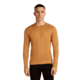 Icebreaker Merino 260 Tech Long Sleeve Crew Thermal Top - Mens, Trail, Extra Large, IB1043710GRXL