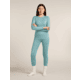 Icebreaker Merino 260 Tech Long Sleeve Crew Thermal Top - Womens, Hydro, Small, IB104387451S