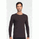 Icebreaker Oasis Long Sleeve Striped Crew Top - Men's-Walnut Overdye-Large