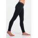 Icebreaker Vertex Leggings - Women's