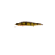 Jackall Lures Jackall Rerange 110Mr, Jerkbait, Dives To 8, Weight Transfer System, RT Perch, 4 1/3in, 1/2oz, JRERA110MR-RTP