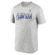 Jordan Mens Florida Sideline Legend Jordan Brand Dri-FIT College T-Shirt in Grey 0JTI0BBUFN-7SB, Grey, XL, male, 1016043126-00199295242315