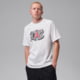 Jordan Mens Jordan Sport Dri-FIT Graphic T-Shirt in White IV2439-100, White, M, male, 1015918670-00198959486706
