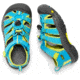 KEEN Big Kids Newport H2 Sandals, Hawaiian Blue/Green Glow, 1, 1012314-415-1