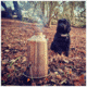 Kelly Kettle Stainless Steel Base Camp - Large, 50001