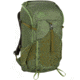 Kelty Asher 35L Daypack, Winter Moss/Dill, One Size, 22628622WM