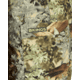 Kings Camo Hunter Pant 2.0 - Mens