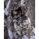 Kings Camo XKG 800 Fill Down Transition Jacket - Mens
