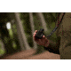 Kite Optics Stabi-One Stabilized Monocular, 10x20mm, Black, K280598