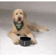 Klymit Dog Bowl, Black / Grey, 12DBSF01B