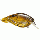 Koppers Live Target Crawfish Squarebill Lure 2-3/8" - Brown/Yellow 110805