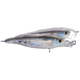 Koppers Live Target Glass Minnow Popper Lure 3" - Silver/Smoke 120892