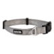 Kuma Outdoor Gear Lazy Bear Dog Collar, Small, 11-14in, Heather Grey, Small, 703-KM-LBCL-HG-S