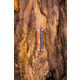 Leatherman Rebar 2.9in Multi-Tool, 420HC Stainless Steel, Burnt Sienna, Sienna, 833312