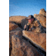 Leica Geovid R 8x42mm Rangefinder Binocular, LED, Black, 40811