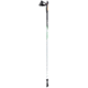Leki Flash Carbon Nordic Walking Pole, 125 cm, NW6352530125