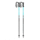 Leki Rider Cross Country Poles