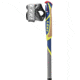 Leki Micro Flash Carbon Trekking Poles, 125cm, 65125821125