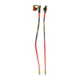 Leki Usa WCR SG DH TR, 65667731135