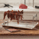 LEM Products LEM Products Jerky Hanger With 9 Skewers and Seasoning, Stainless, 1759