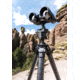 Leofoto BC-04 Binocular Adapter, Black, BC-04