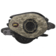 Lew's American Hero Baitcast Reel, 7.1:1, 5+1, Right, AHC1SH