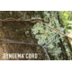LiteFighter Gear Recondo 1 Jungle Hammock System W/ Rain Tarp, Delta Green 499, 104in x 55in, RC1100-OCP