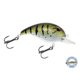 Livingston Lures Dive Master Jr Lure, XXX Shad, 0233