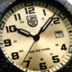 Luminox Leatherback Sea Turtle Giant Outdoor Watch, Gold/black - XS0325GP