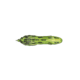 Lunkerhunt Froglet Bait Topwater, 1, 3in, Green Tea, FGLT301