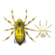 Lunkerhunt Phantom Spider Bait Topwater, 1, 2.25in, Six Spot, LSPIDER01