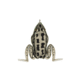 Lunkerhunt Pocket Frog Bait Topwater, 1, 1.75in, Rocky Toad, PF02