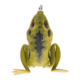 Lunkerhunt Pocket Frog Bait Topwater, 1, 1.75in, Toad, PF11
