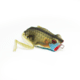Lunkerhunt Popping Frog Bait Topwater, 1, 1.75in, Blue Gill, QPOP04