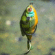 Lunkerhunt Prop Series Combo, Assortment, PROPCOM01