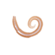 Lunkerhunt River Worm Worm, 8, 2in, Dew Worm, LHPFRW01