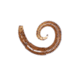 Lunkerhunt River Worm Worm, 8, 2in, Pumpkin, LHPFRW02