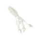 Lunkerhunt Typhon Tube, 6, 3.5in, White Ice, SBTUBE02