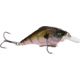 MACH Bouncer Fishing Lure, Shallow Diving Crankbait, Ghost Gill, 3/8oz, HCMBB-922, HCMBB-922